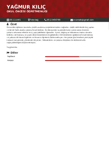 Okul Öncesi Öğretmeni Öğretmenliği Cv Örnekleri cv indir